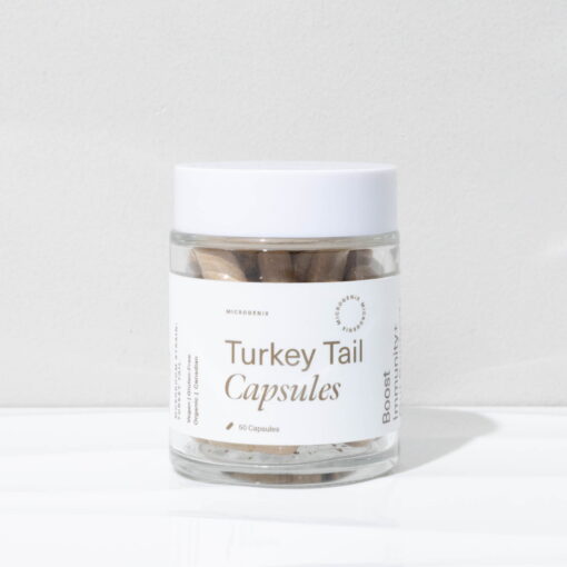 Turkey Tail Capsules Brain Food V | GF