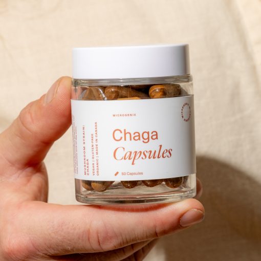 Chaga Capsules Brain Food V | GF